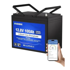 Акумуляторна батарея LiFePO4 DC HOUSE 12.8V 100Ah для резервного живлення та сонячних систем, гвинт M8