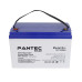 Акумуляторная батарея PANTEC 100-12 GEL 12V 100Ah для ибп и солнечных систем резервного питания