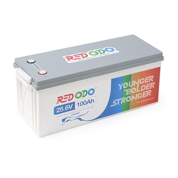 Акумуляторна батарея 25.6V 100Ah 2560Wh LiFePO4 для сонячних електростанцій та кемперів (100/100A)(532*207*215) Акумуляторна батарея 25.6V 100Ah 2560Wh LiFePO4 для сонячних електростанцій та кемперів (100/100A)(532*207*215)