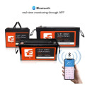 Аккумуляторная батарея LiFePO4 LITHTECH TE12200B 12.8V 200Ah с BMS и Bluetooth для ИБП, солнечных систем и кемперов