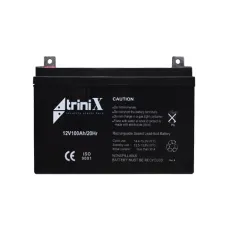 Акумулятор 12В 100А/г Trinix