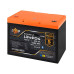 Акумулятор LiFePO4 12,8V 100Ah 1280Wh з BMS 100A/50A та Bluetooth моніторингом для систем безперебійного резервного живлення