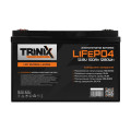 Акумуляторна батарея літій-залізо-фосфатна 12В 100А год Trinix LFP 12V100Ah для автономного живлення електронних пристроїв