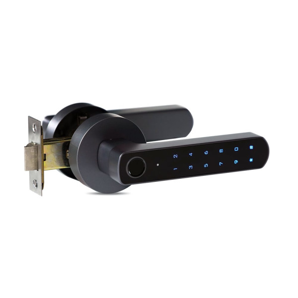 Биометрический замок Trinix TRL-5205BTF с Bluetooth и считывателем отпечатков пальцев для входных дверей, 4 метода отключения, поддержка до 100 пользователей Биометрический замок Trinix TRL-5205BTF с Bluetooth и считывателем отпечатков пальцев для входных дверей, 4 метода отключения, поддержка до 100 пользователей