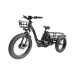 Електровелосипед CEMOTO CEM-ET06